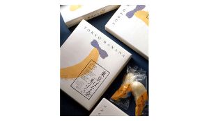 ミックブレインセンターのデザイン例02