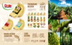 ノーツデザインパッケージオフィス画像3